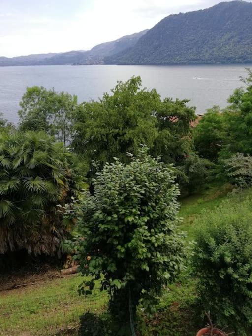 Villa Angiolina