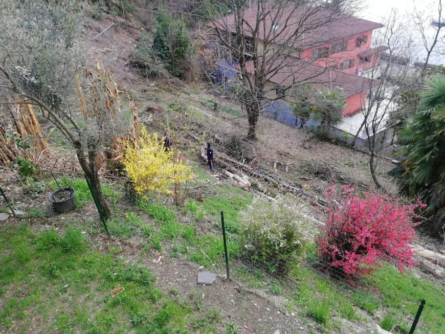 Villa Angiolina