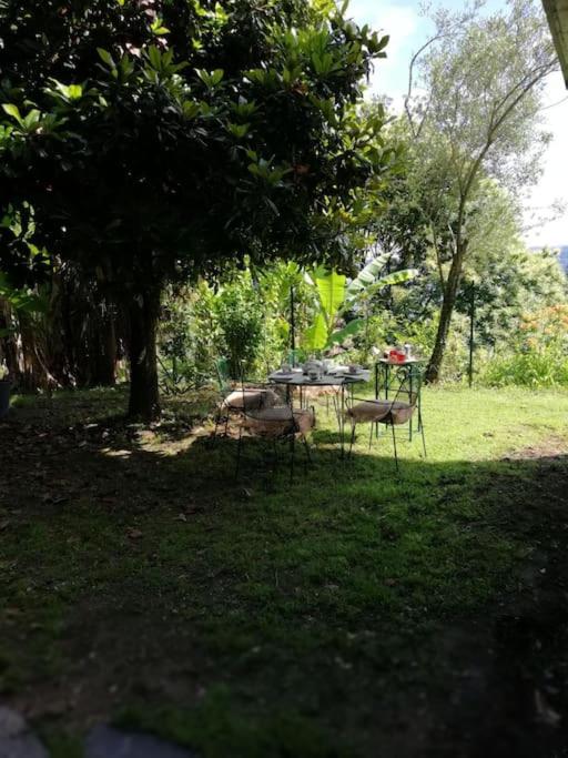 Villa Angiolina