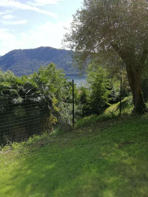 Villa Angiolina