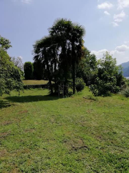 Villa Angiolina
