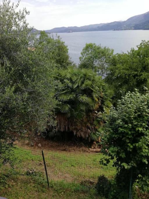 Villa Angiolina