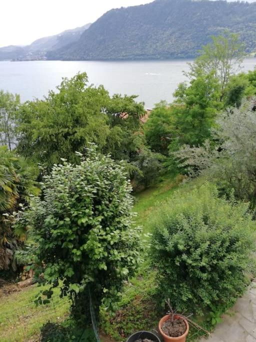 Villa Angiolina