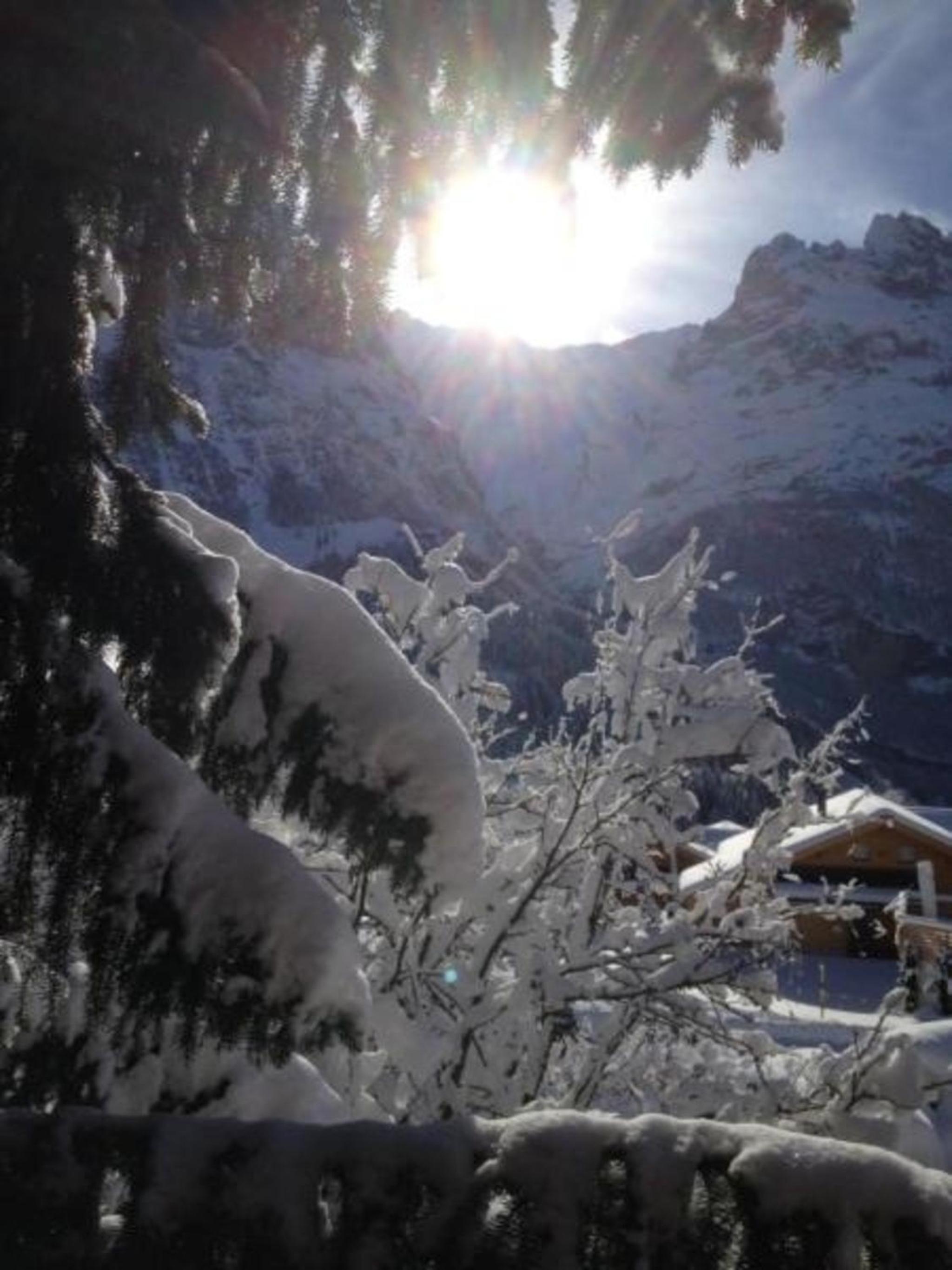 Chalet Mislin, Grindelwald Direkte Bergsicht