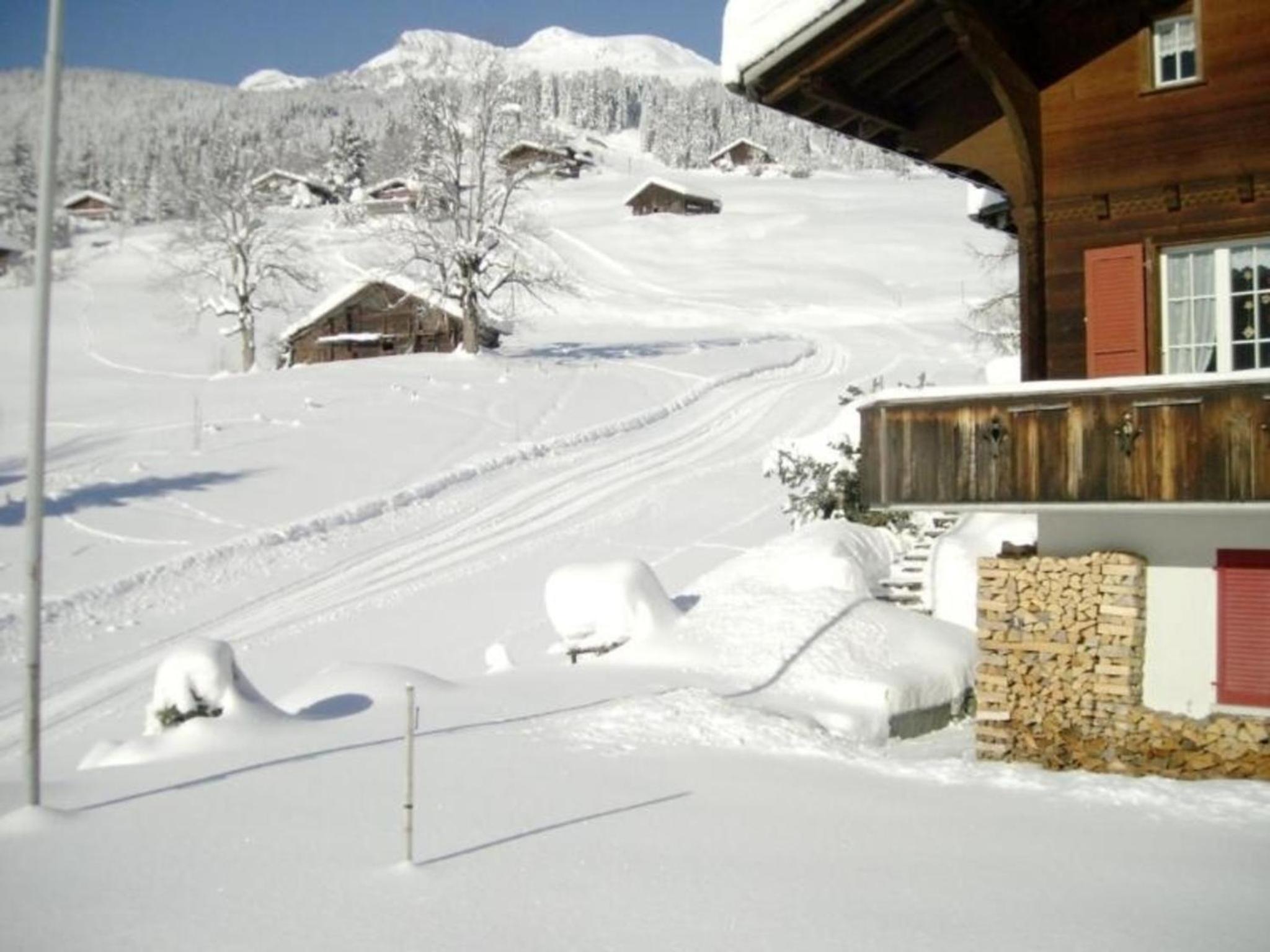 Chalet Mislin, Grindelwald Direkte Bergsicht