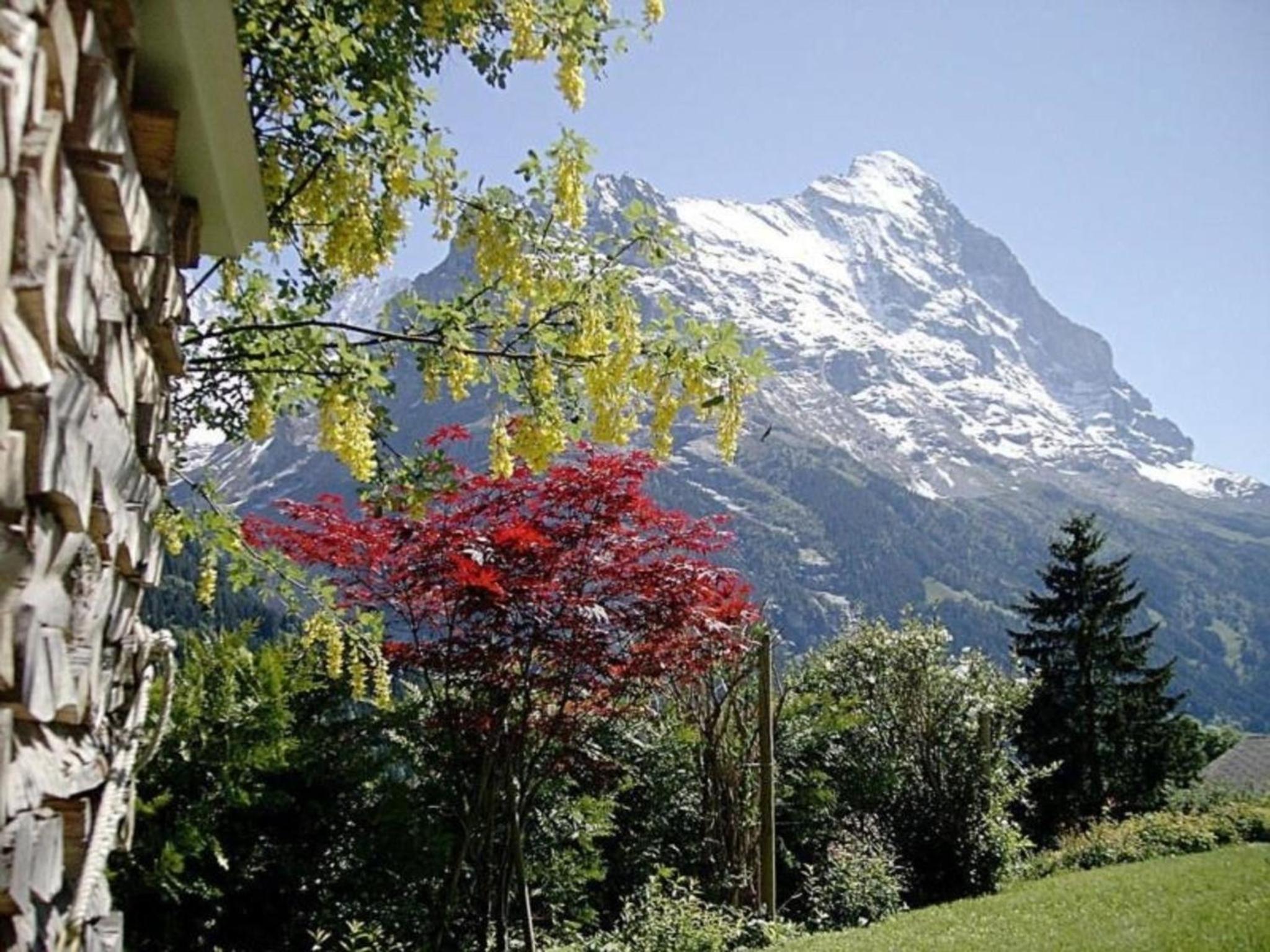 Chalet Mislin, Grindelwald Direkte Bergsicht