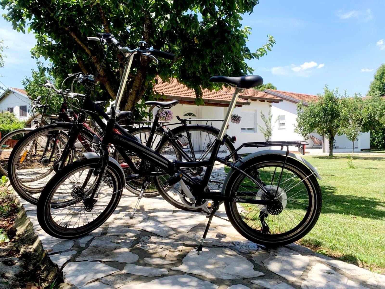 Ranc Vitina