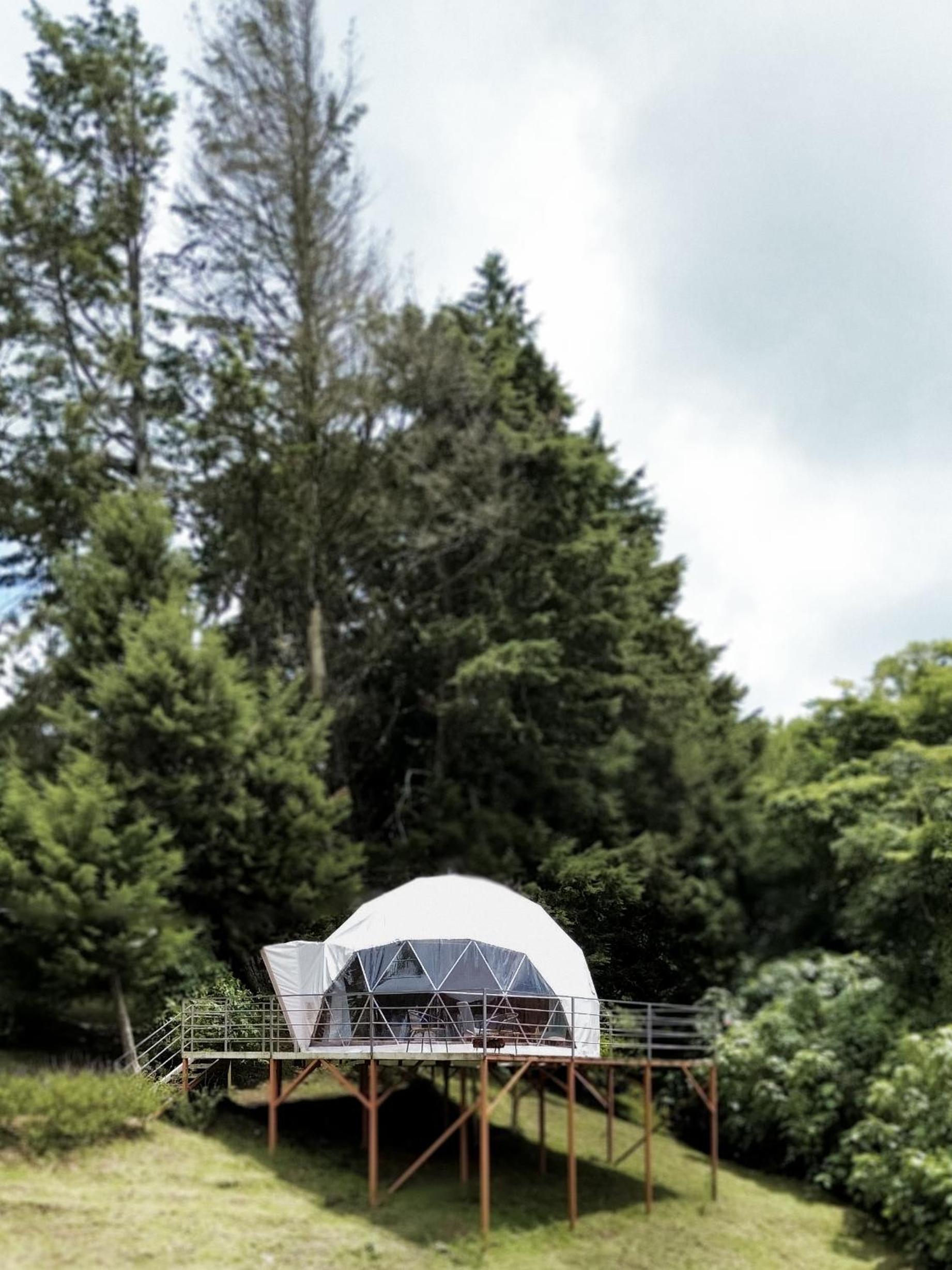Green Noise Glamping