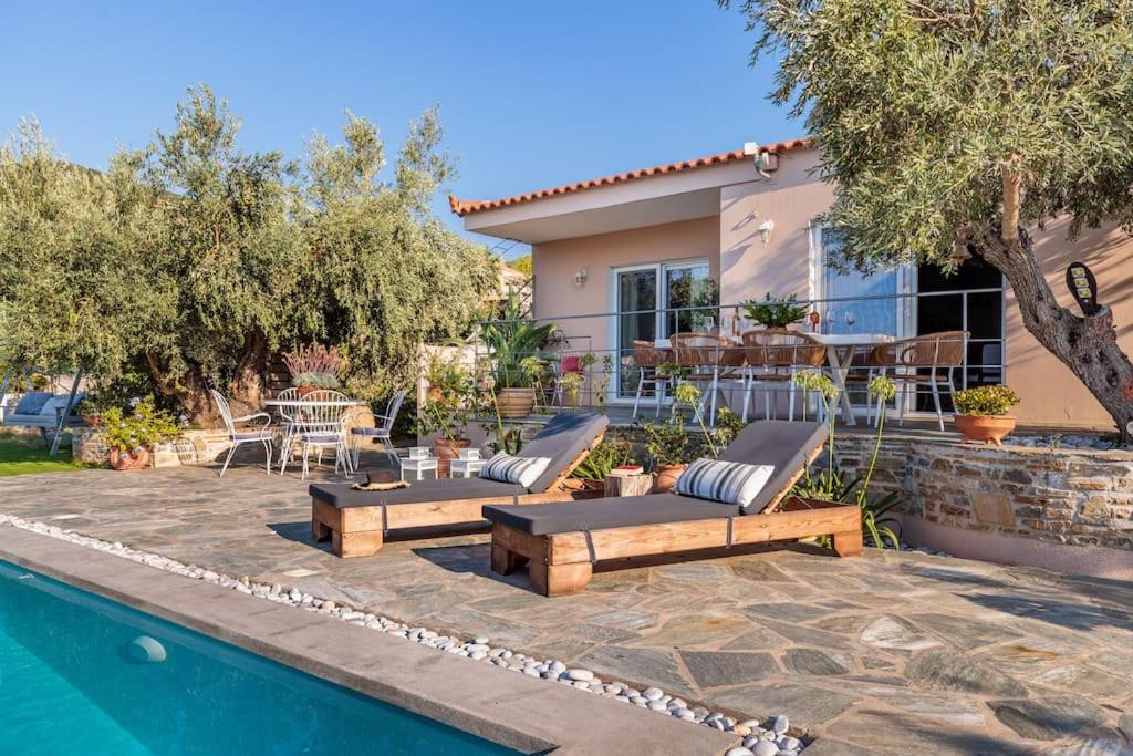 Skopelos Blue Heaven Pool Villa in olive grove view 3