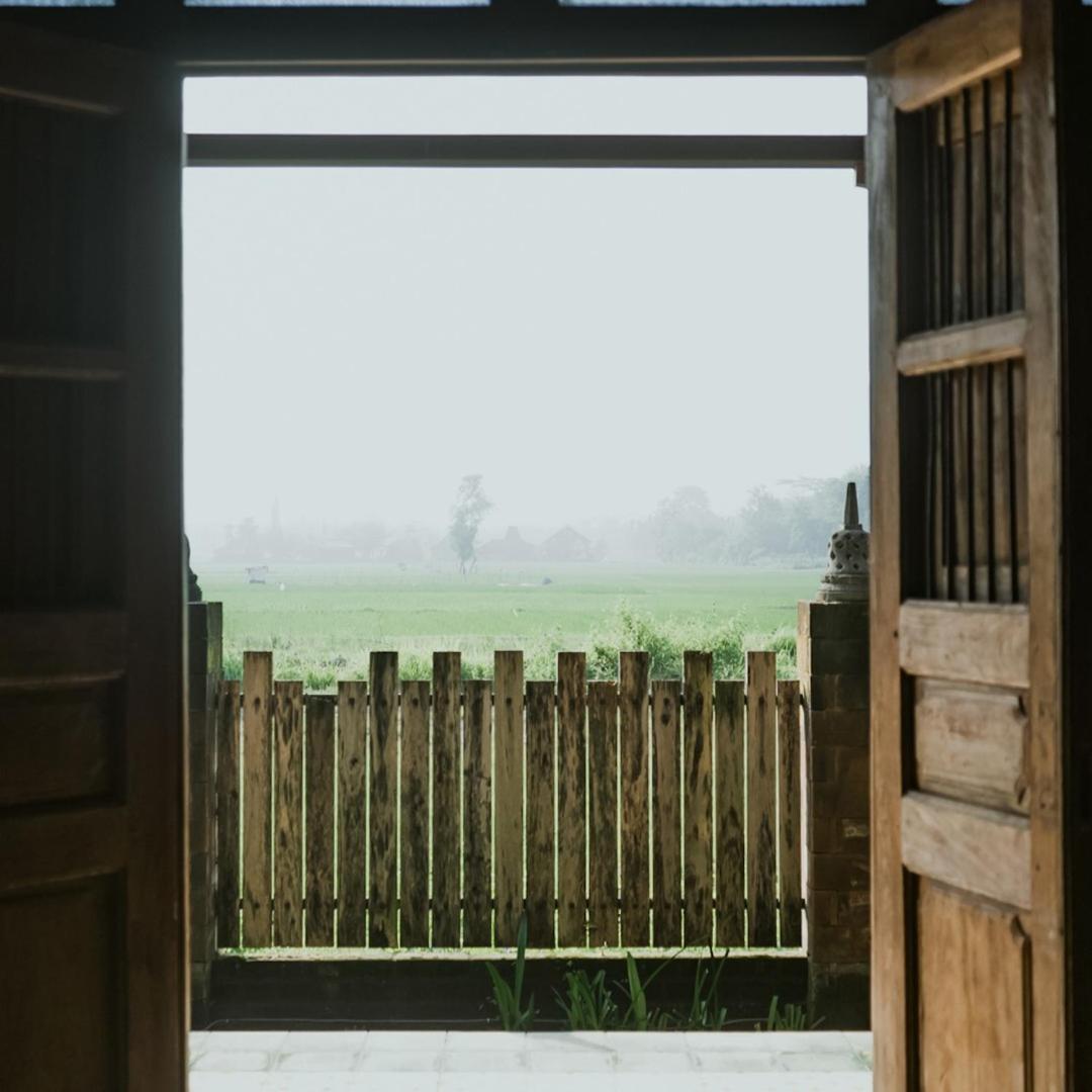 Photo 51