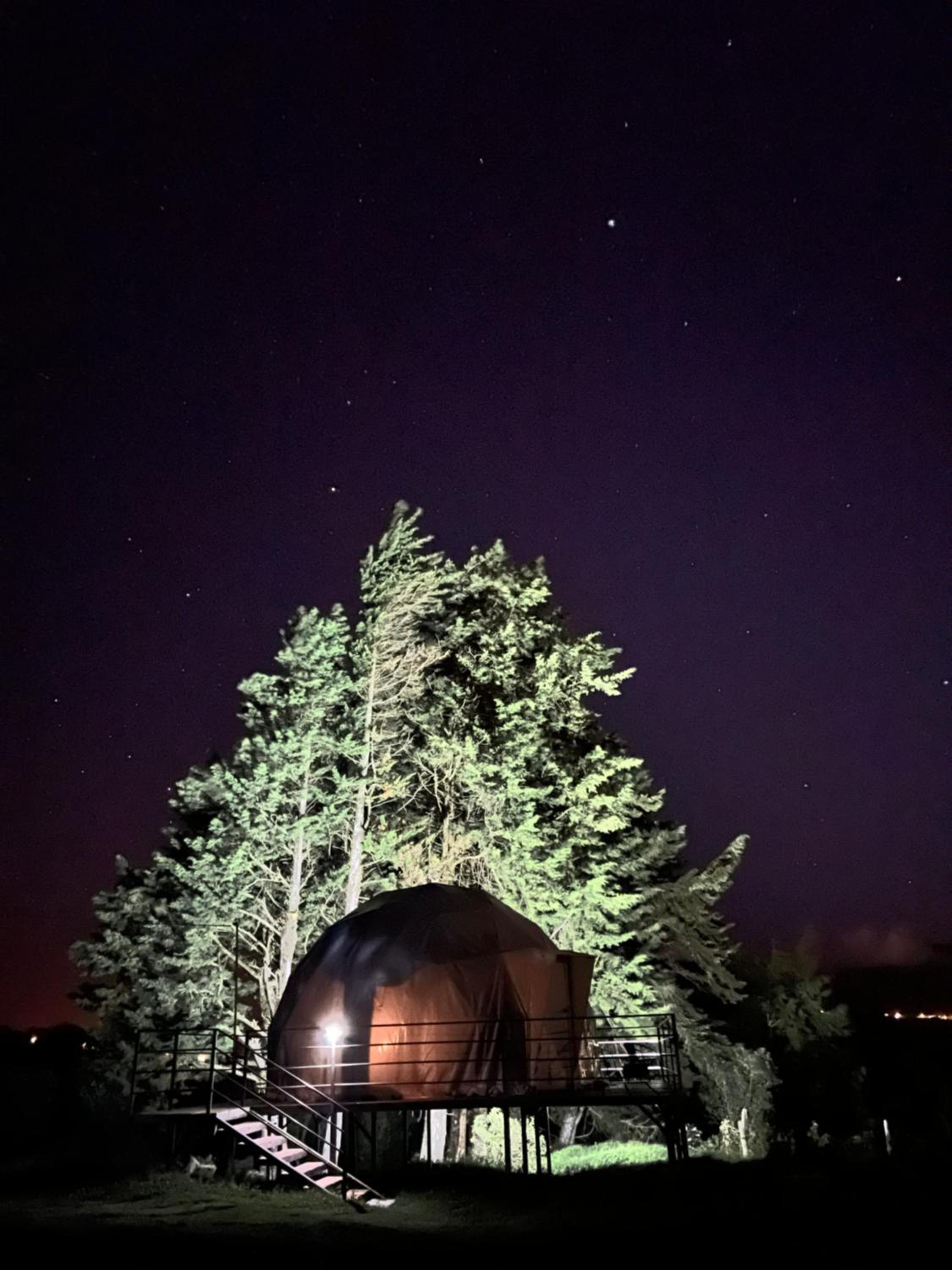 Green Noise Glamping