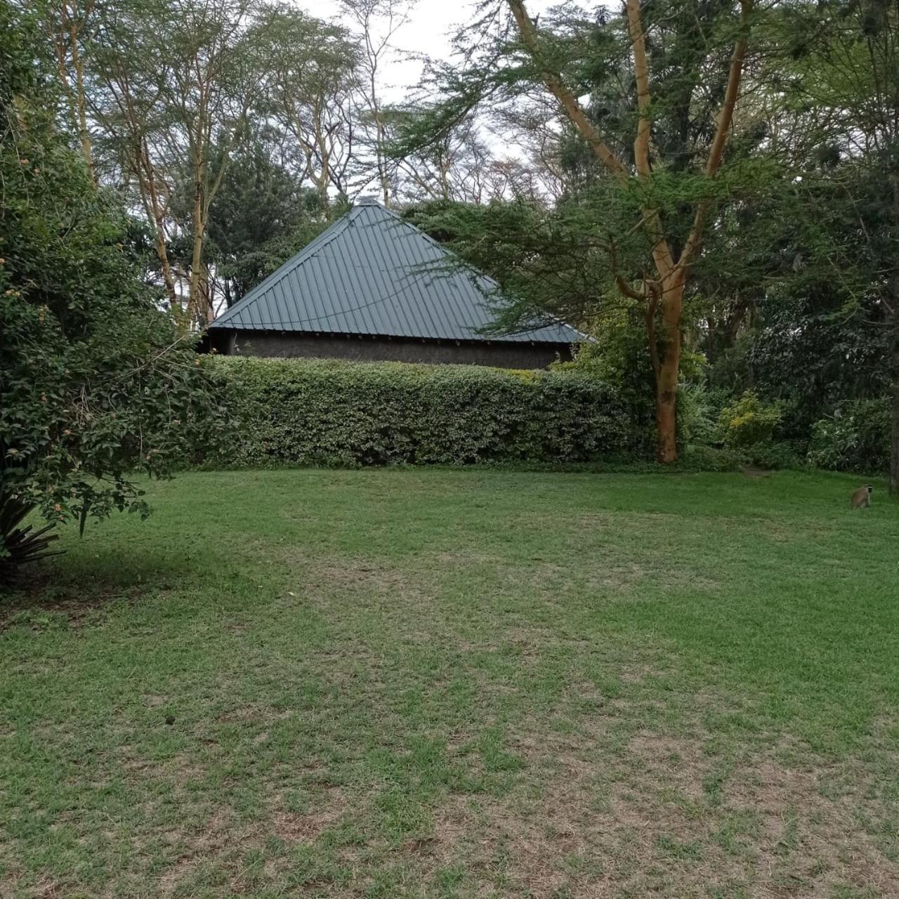 Cactus Eco Camp and Lodge
