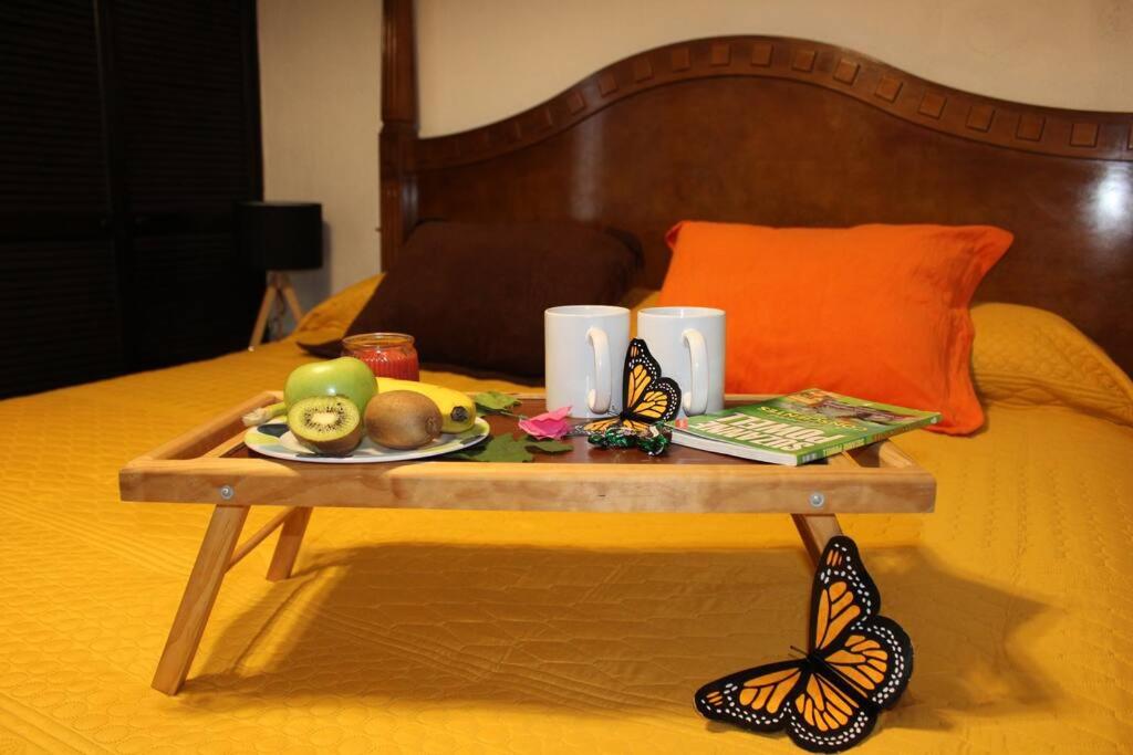 Casa Azul, llena de vida con Alberca