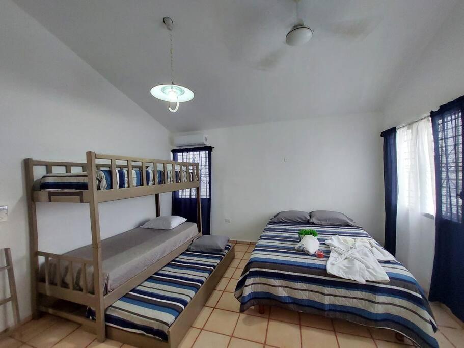 Casa Azul, llena de vida con Alberca