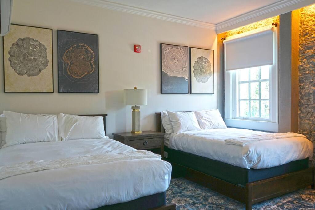 Perfect Sonoma Valley Guest Retreat - Room 11 view 5