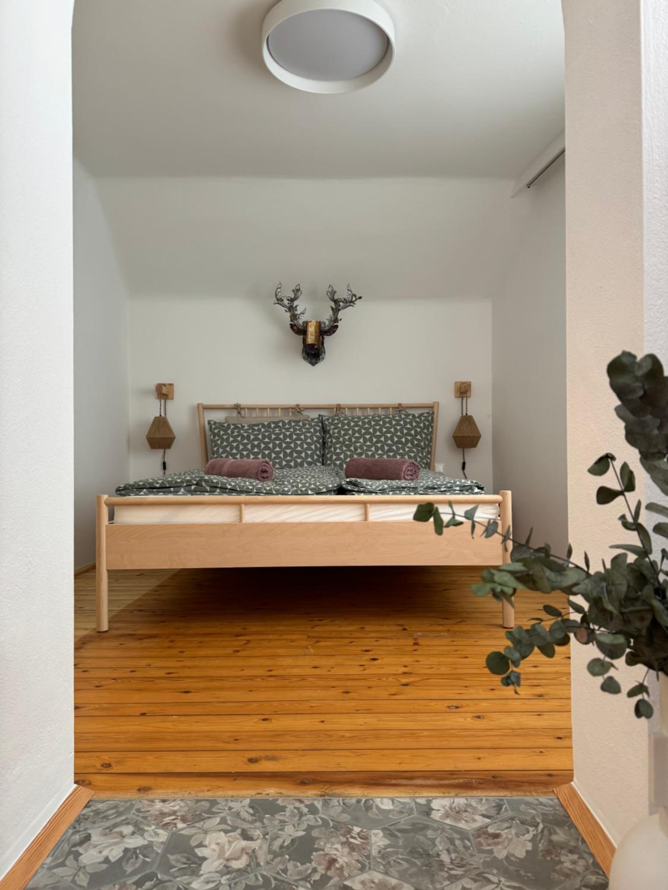 Dottore Casa