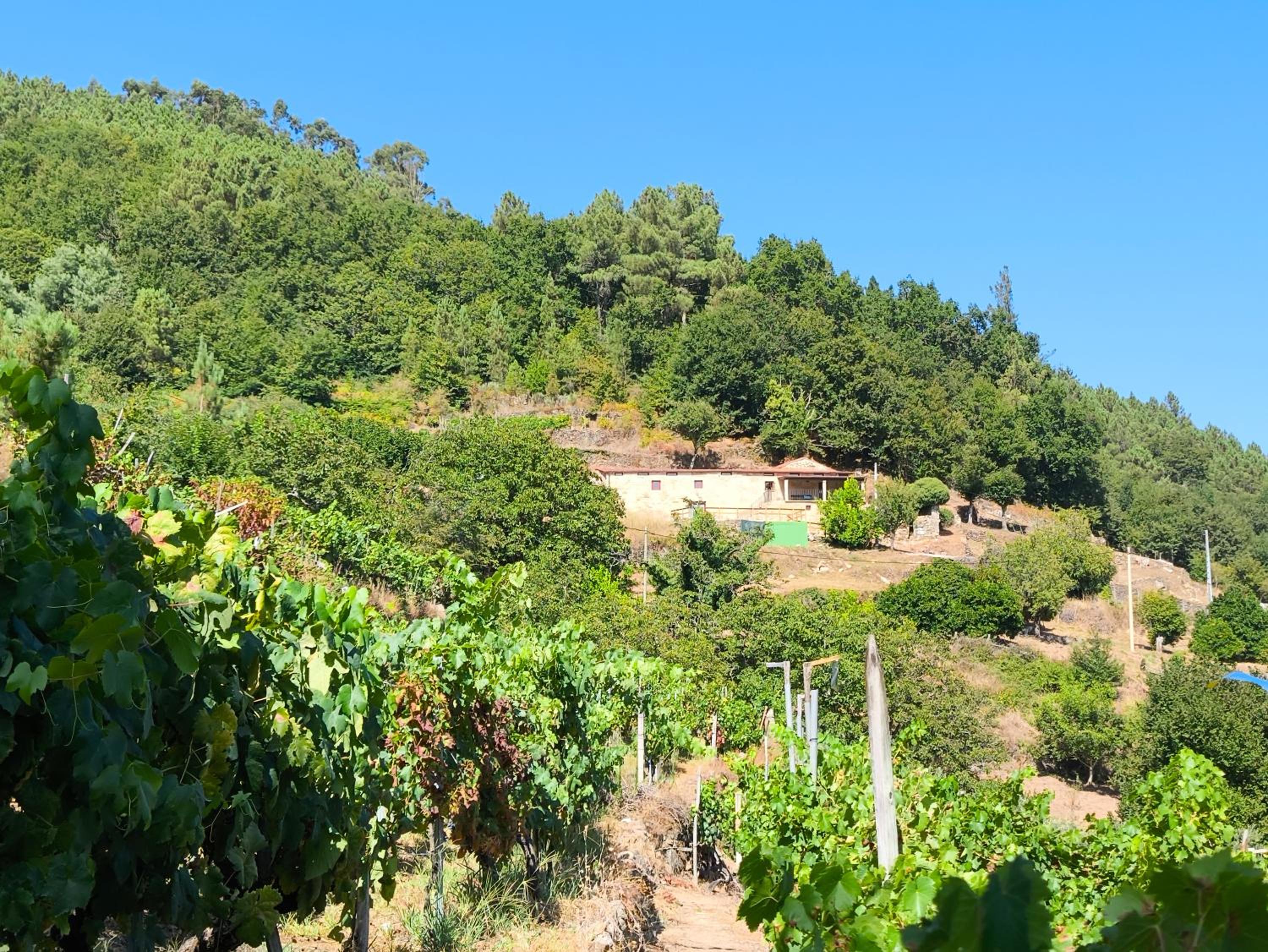 Xiravai-Ribeira Sacra