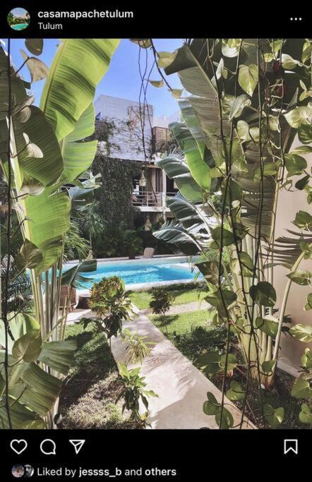 Apartment Oasis In Hippest Part Of Tulum view 3