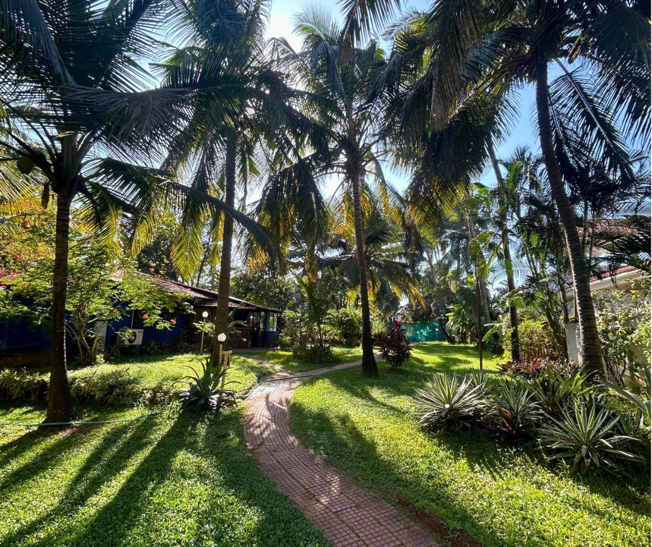 Jungle Hut-Annabelle's Beach Apartments at Bernard Simao,Calangute,Goa view 4