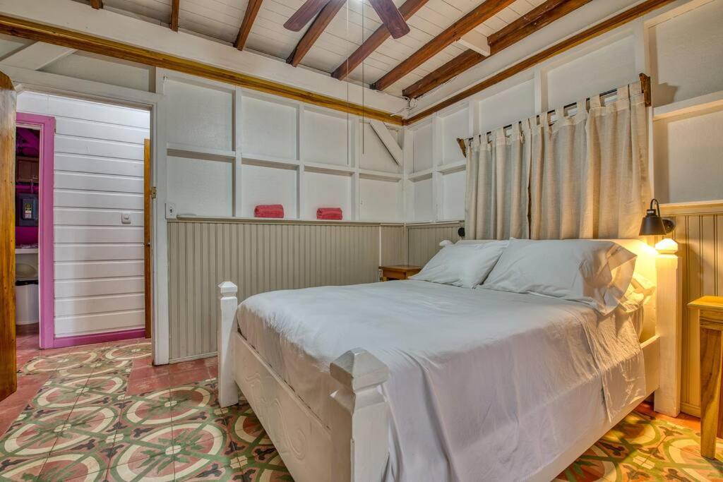 Colibri Caribbean Cottage, hermosa y amplia casa a pasos de una exótica playa con piscinas naturales