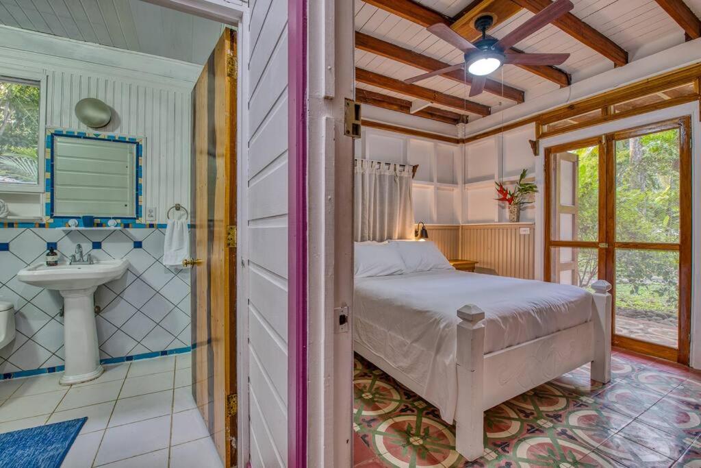 Colibri Caribbean Cottage, hermosa y amplia casa a pasos de una exótica playa con piscinas naturales