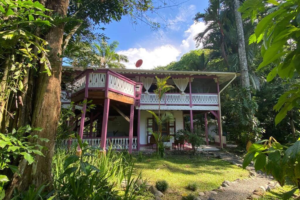 Colibri Caribbean Cottage, hermosa y amplia casa a pasos de una exótica playa con piscinas naturales