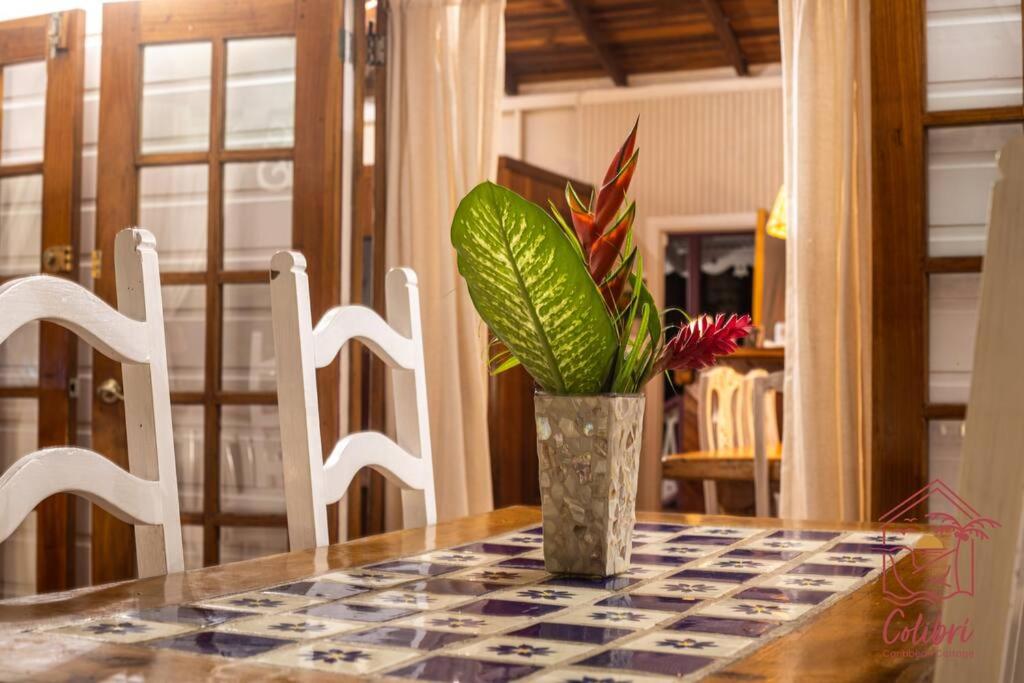 Colibri Caribbean Cottage, hermosa y amplia casa a pasos de una exótica playa con piscinas naturales