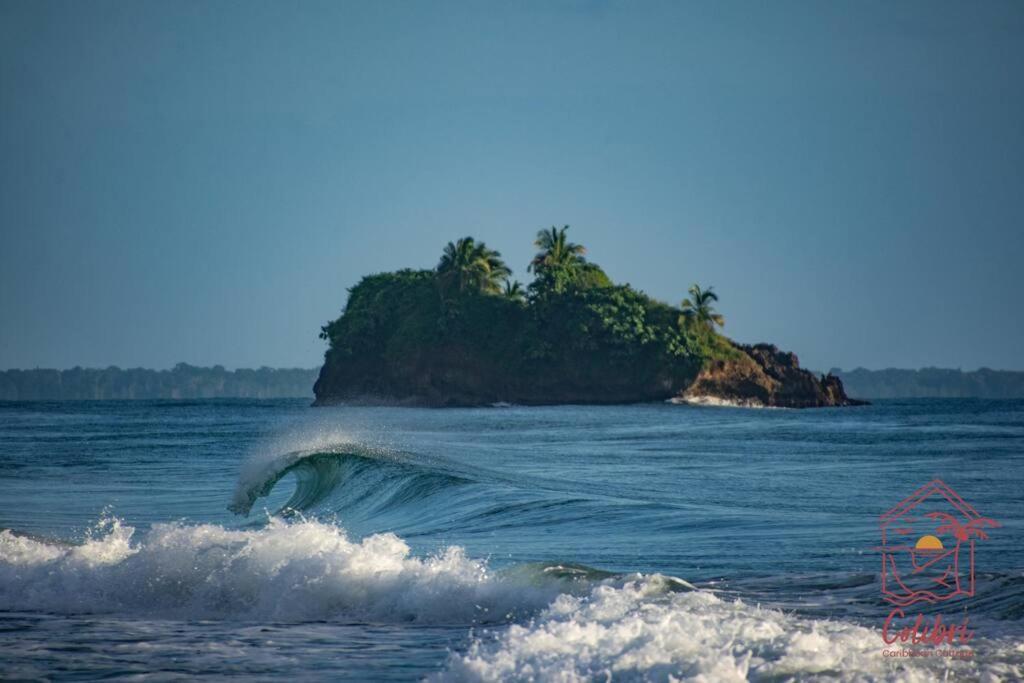 Colibri Caribbean Cottage, hermosa y amplia casa a pasos de una exótica playa con piscinas naturales