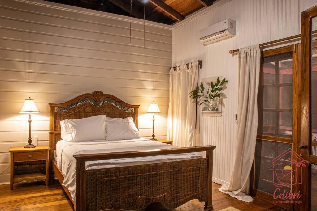 Colibri Caribbean Cottage, hermosa y amplia casa a pasos de una exótica playa con piscinas naturales