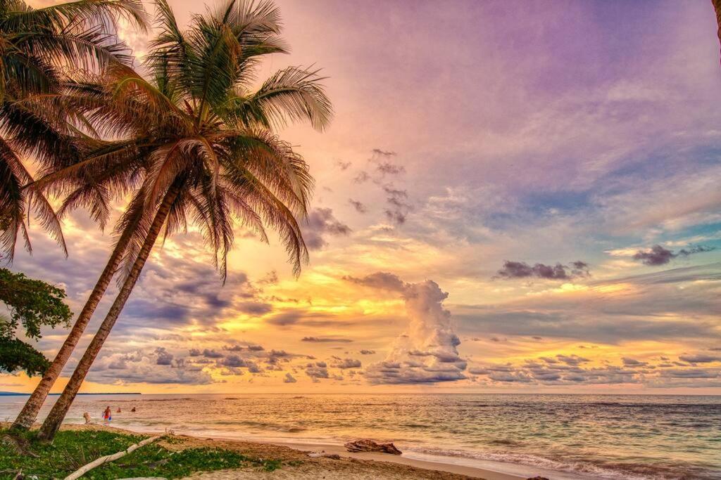 Colibri Caribbean Cottage, hermosa y amplia casa a pasos de una exótica playa con piscinas naturales