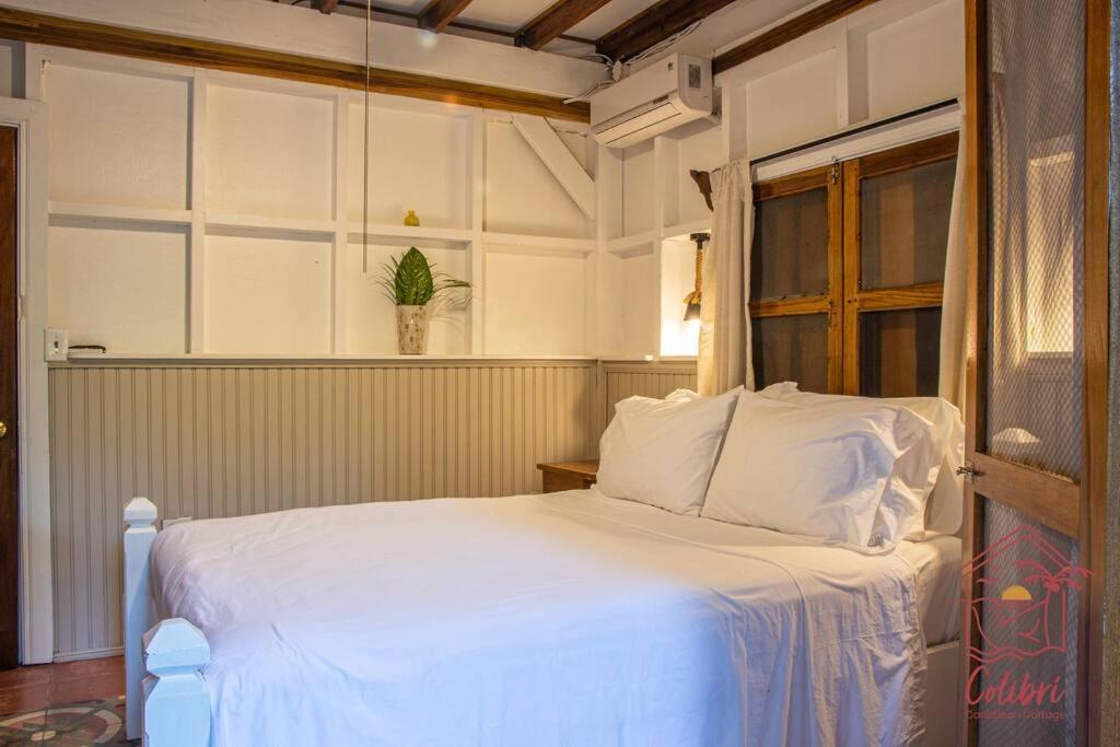 Colibri Caribbean Cottage, hermosa y amplia casa a pasos de una exótica playa con piscinas naturales