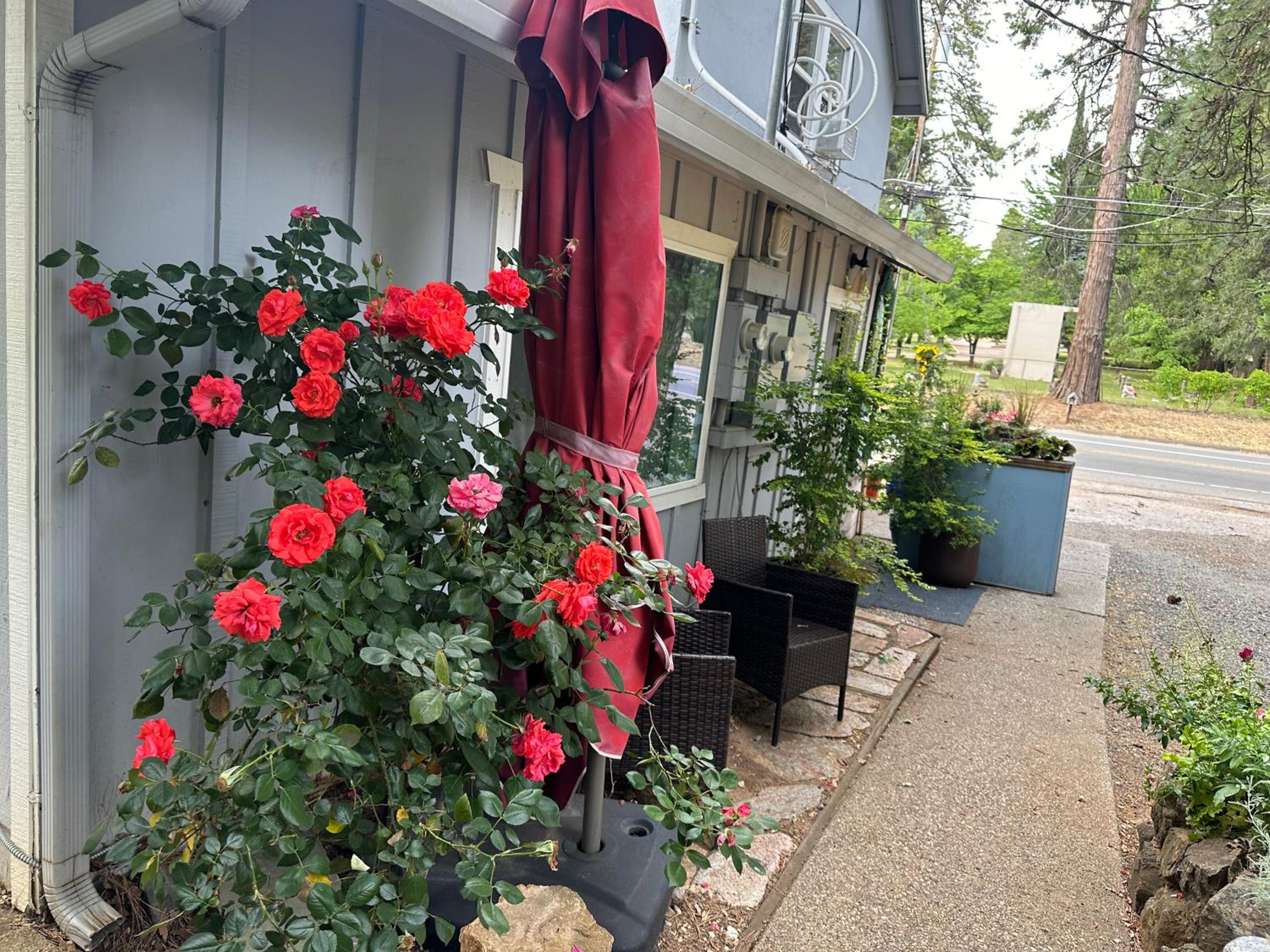The Pines Inn and Cottages