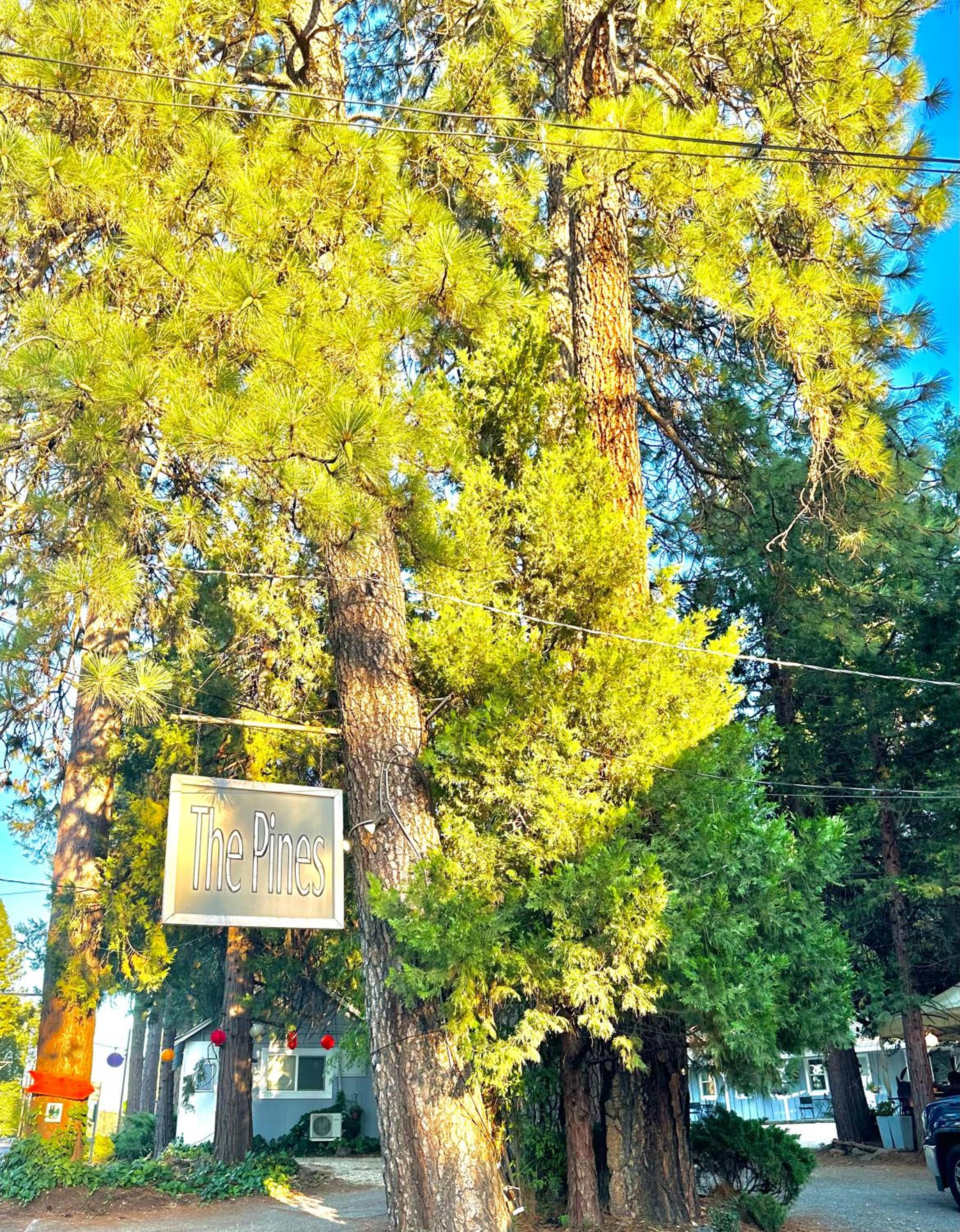 The Pines Inn and Cottages