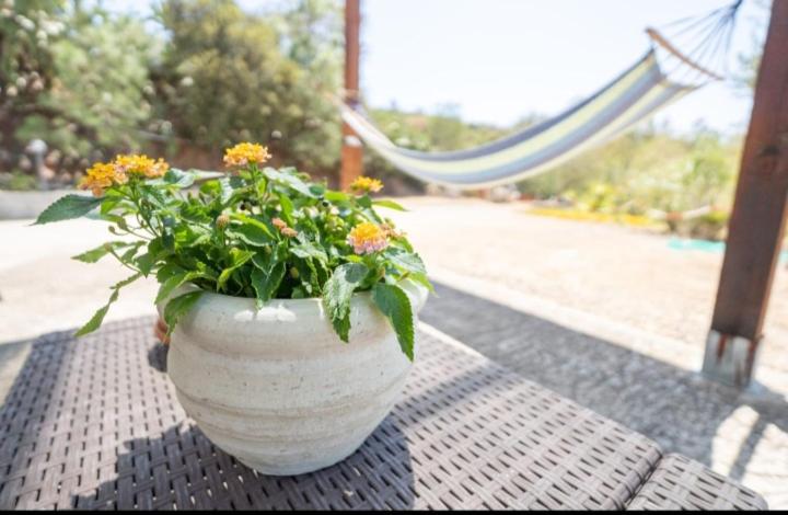 Caboni Melis Holiday home view 3