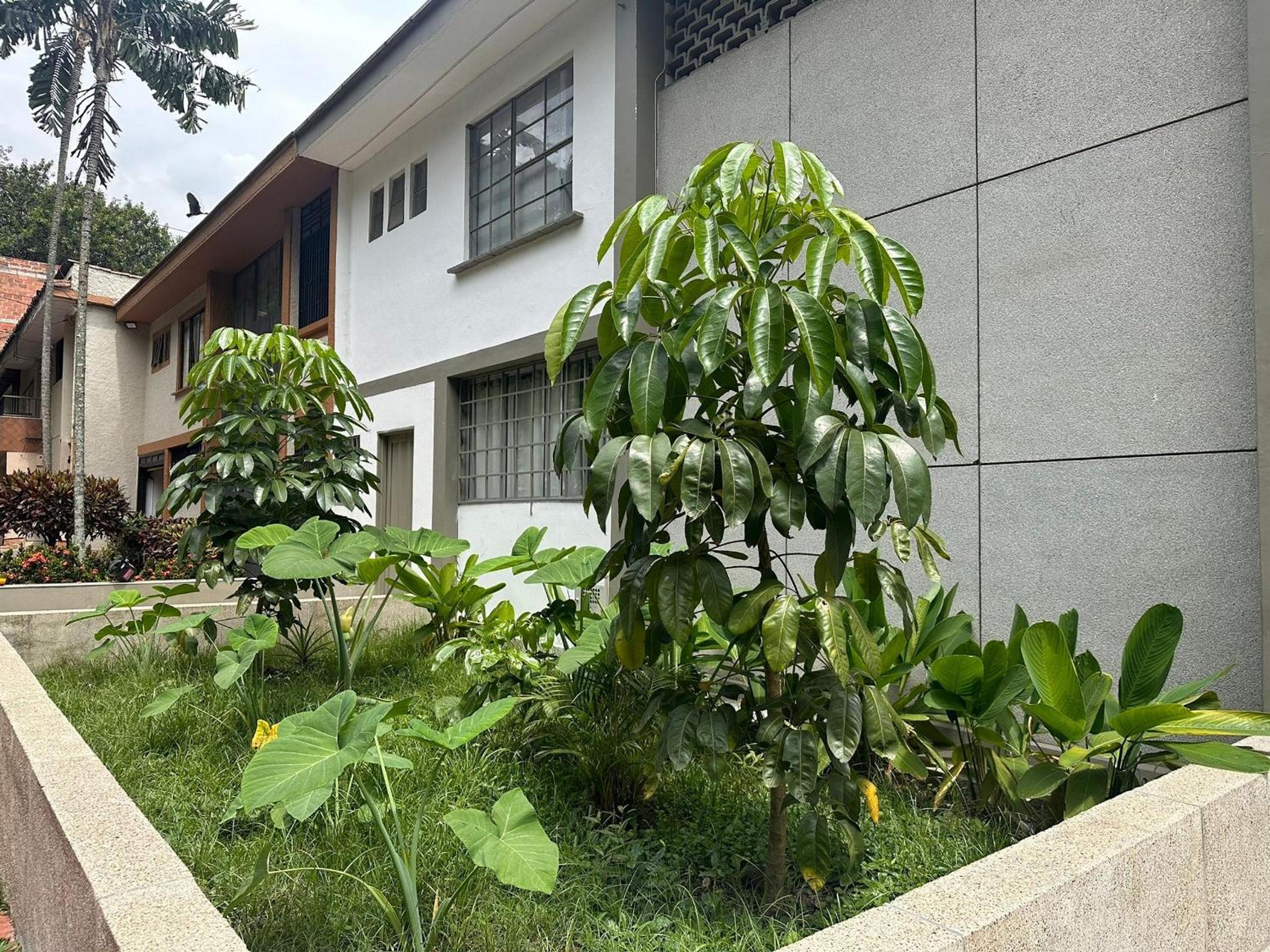 Apartments and Loft in Zona Rosa de Laureles