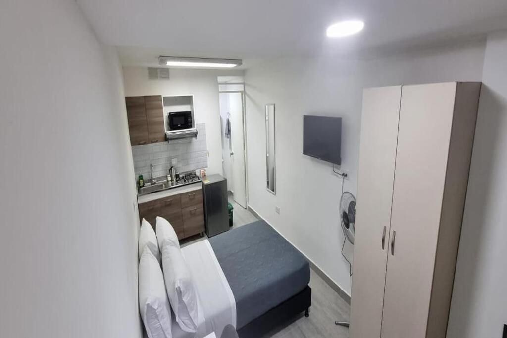 Apartments and Loft in Zona Rosa de Laureles