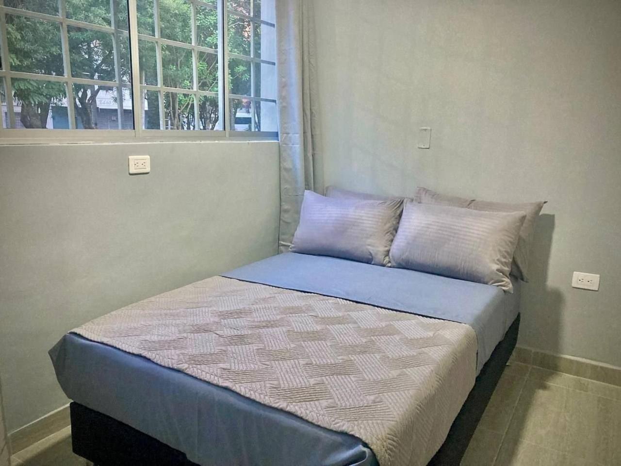 Apartments and Loft in Zona Rosa de Laureles