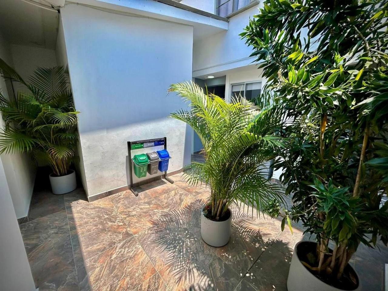 Apartments and Loft in Zona Rosa de Laureles