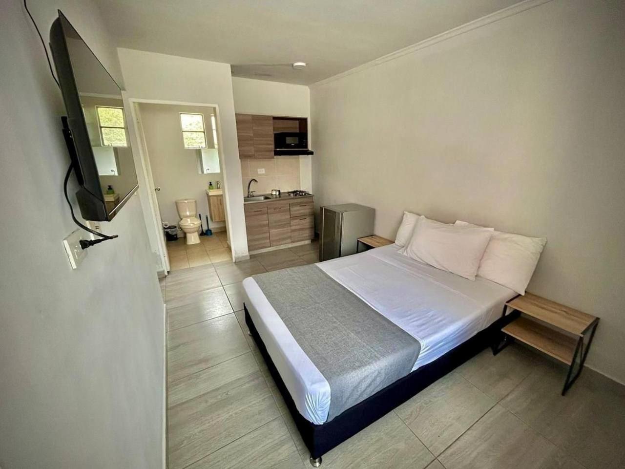 Apartments and Loft in Zona Rosa de Laureles