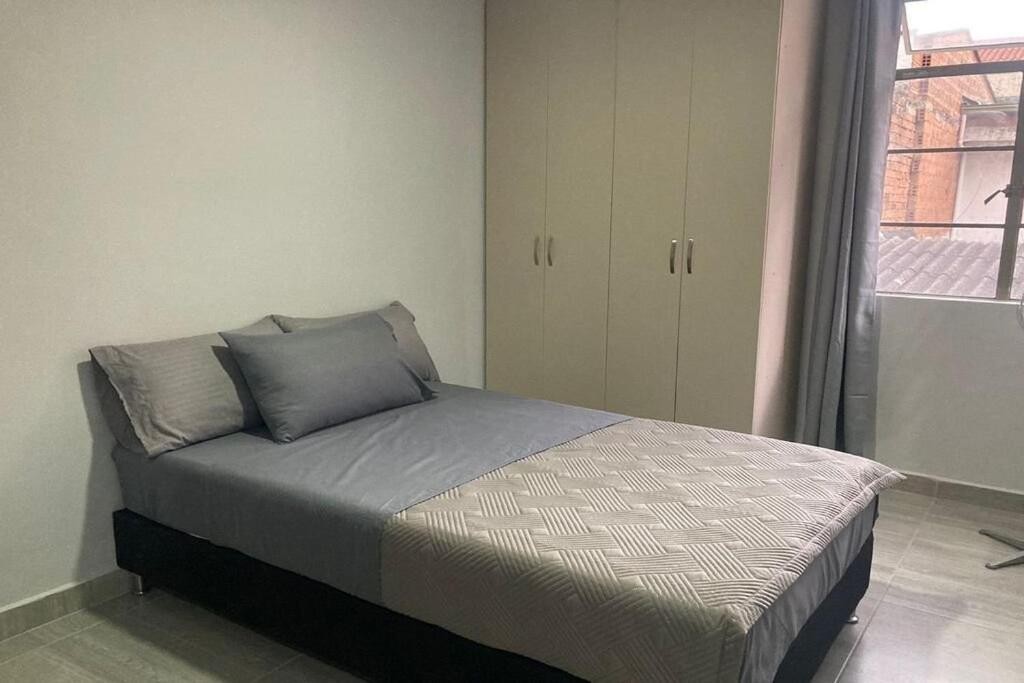 Apartments and Loft in Zona Rosa de Laureles
