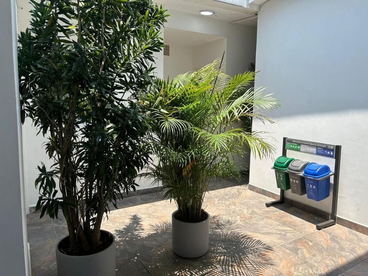 Apartments and Loft in Zona Rosa de Laureles