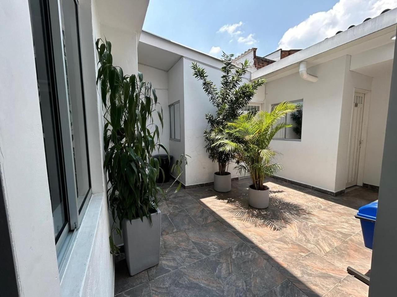 Apartments and Loft in Zona Rosa de Laureles