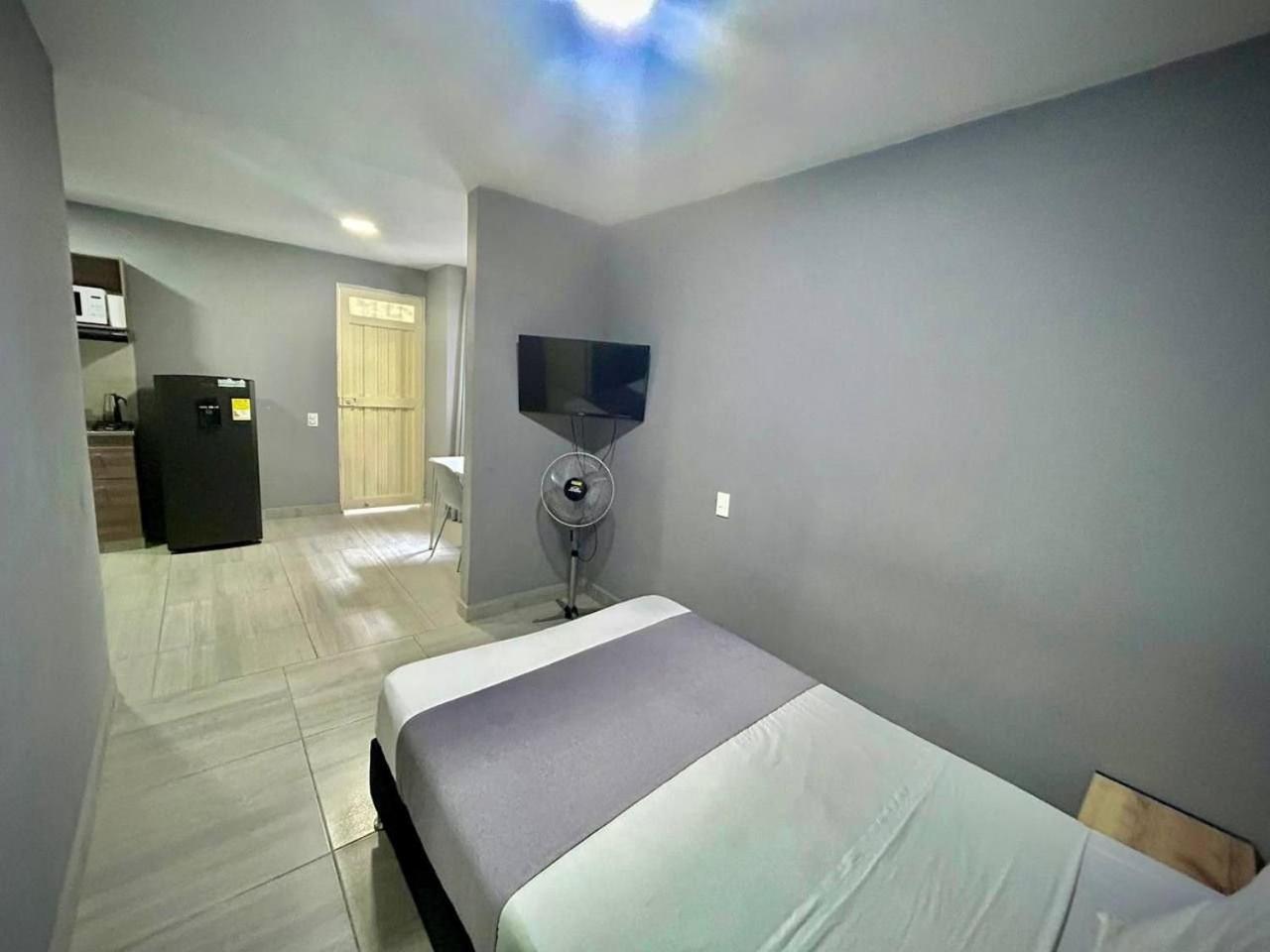 Apartments and Loft in Zona Rosa de Laureles