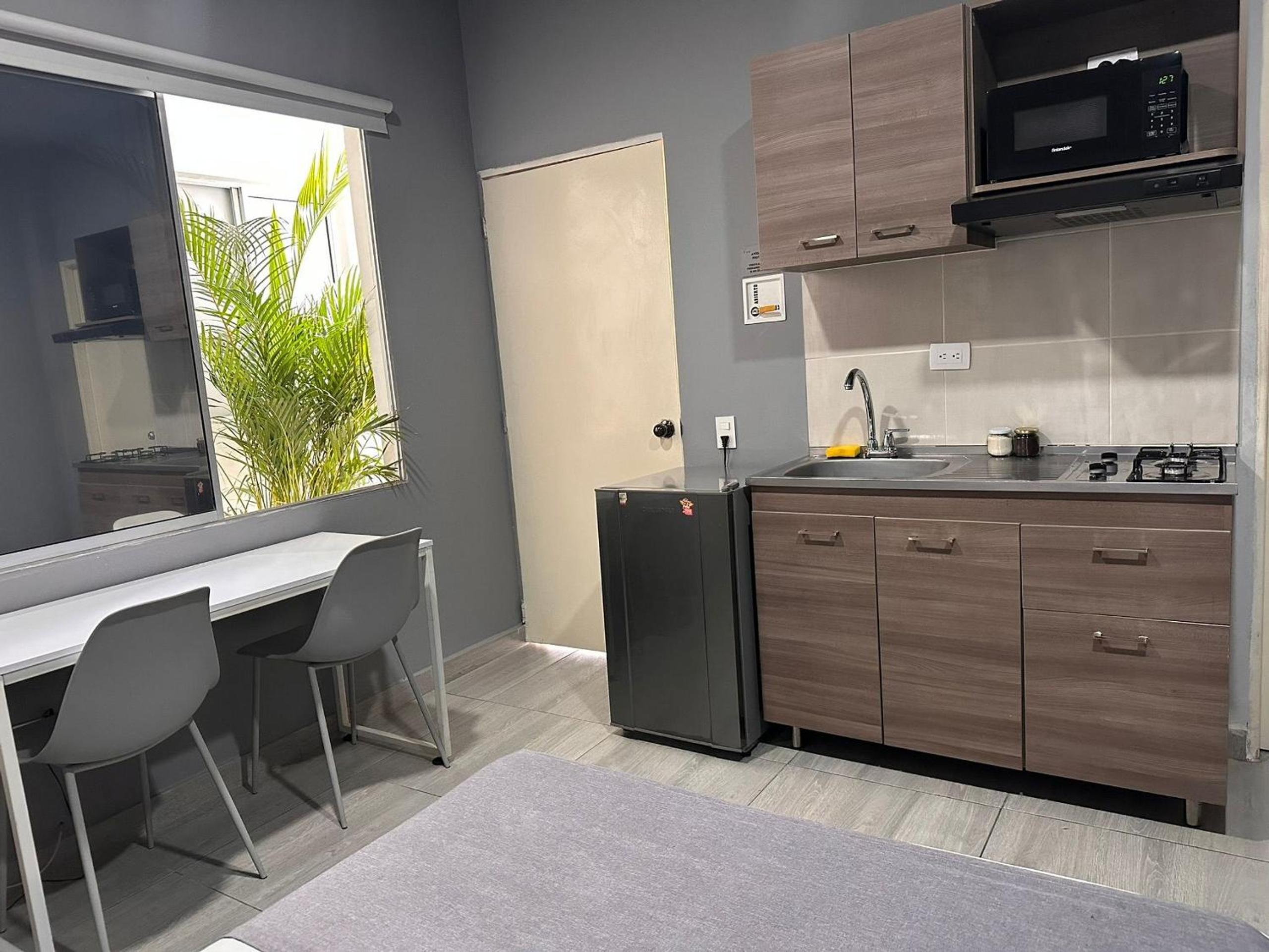 Apartments and Loft in Zona Rosa de Laureles