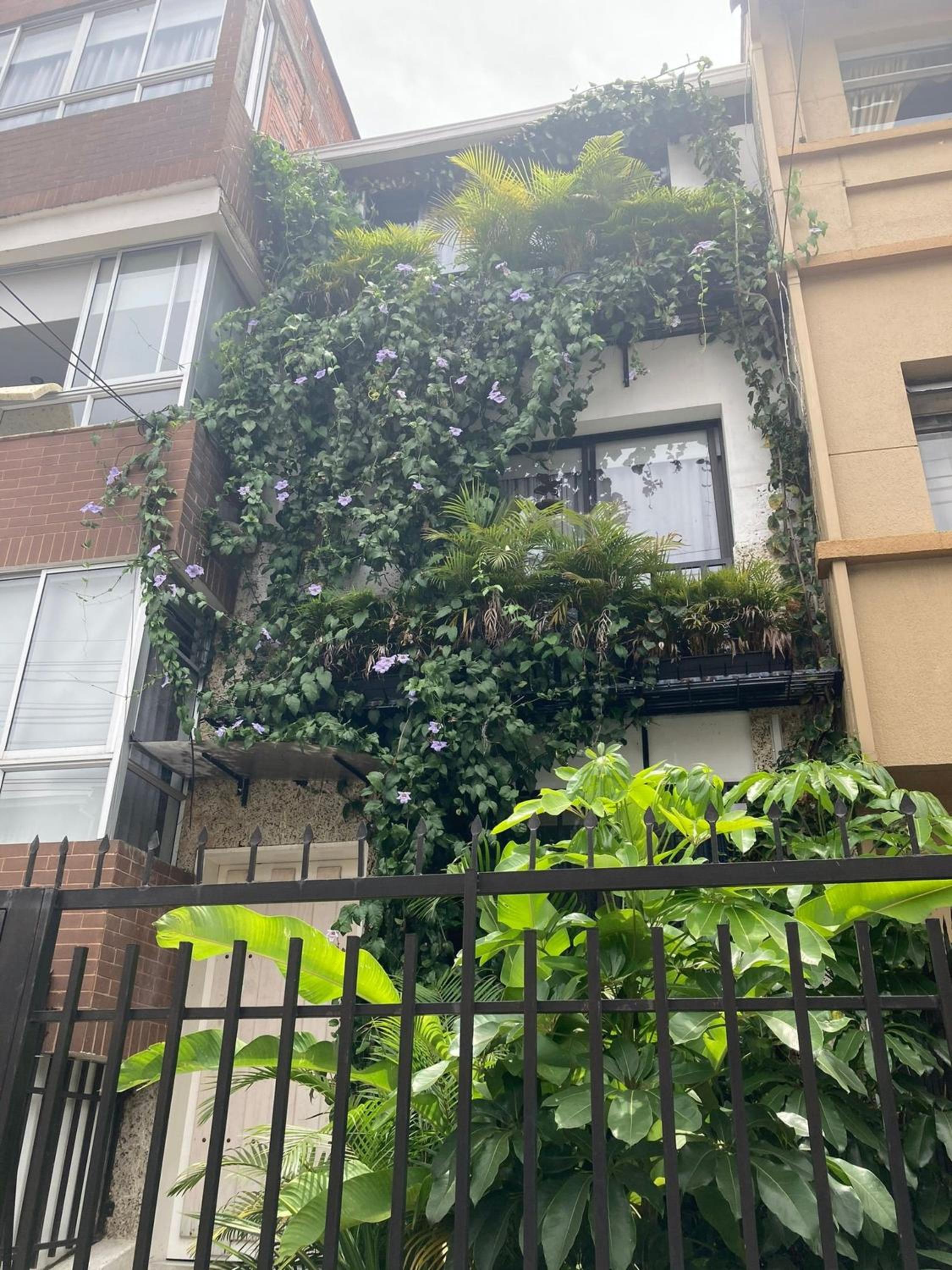 Laureles Apartments and Lofts