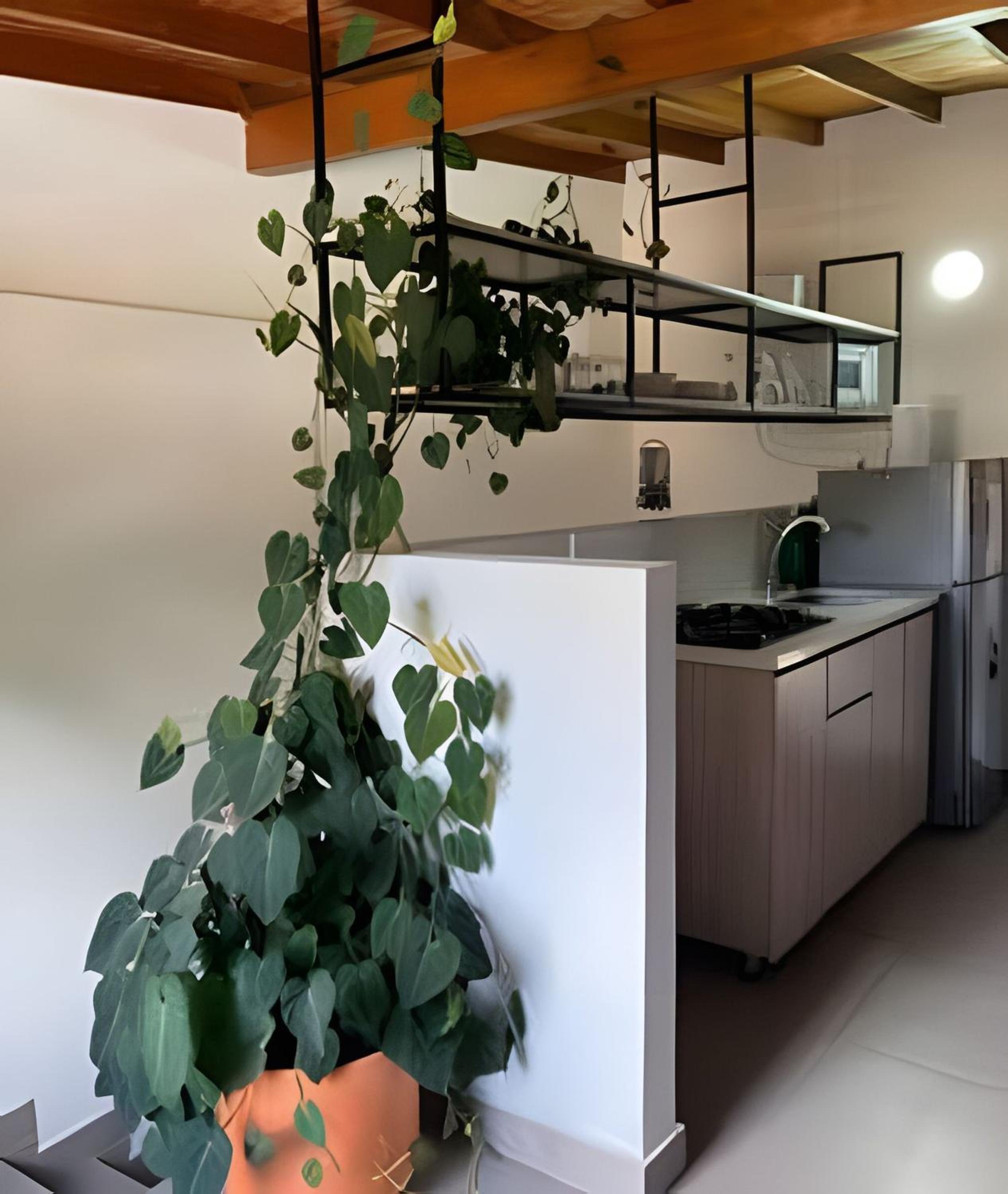 Laureles Apartments and Lofts