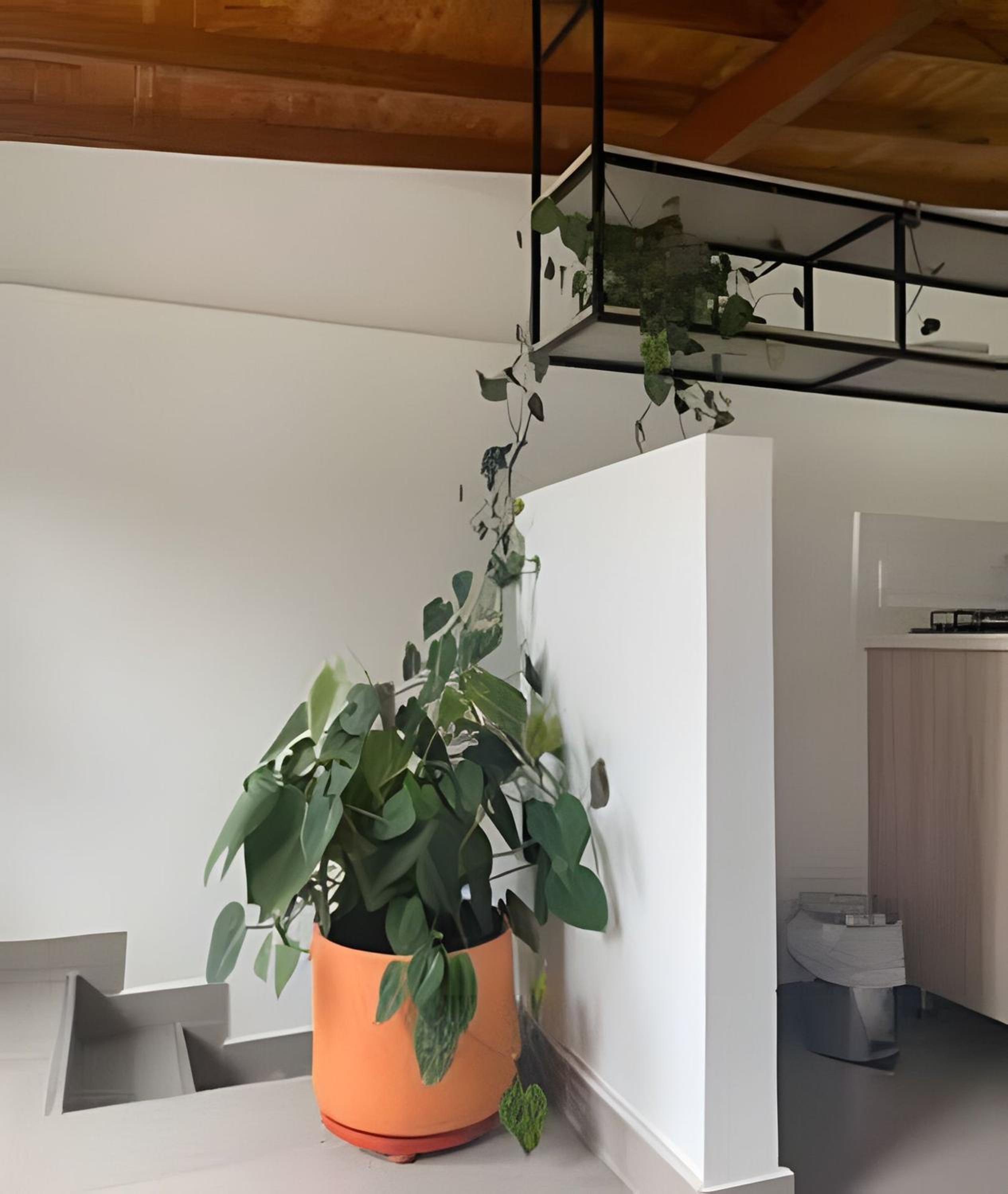Laureles Apartments and Lofts