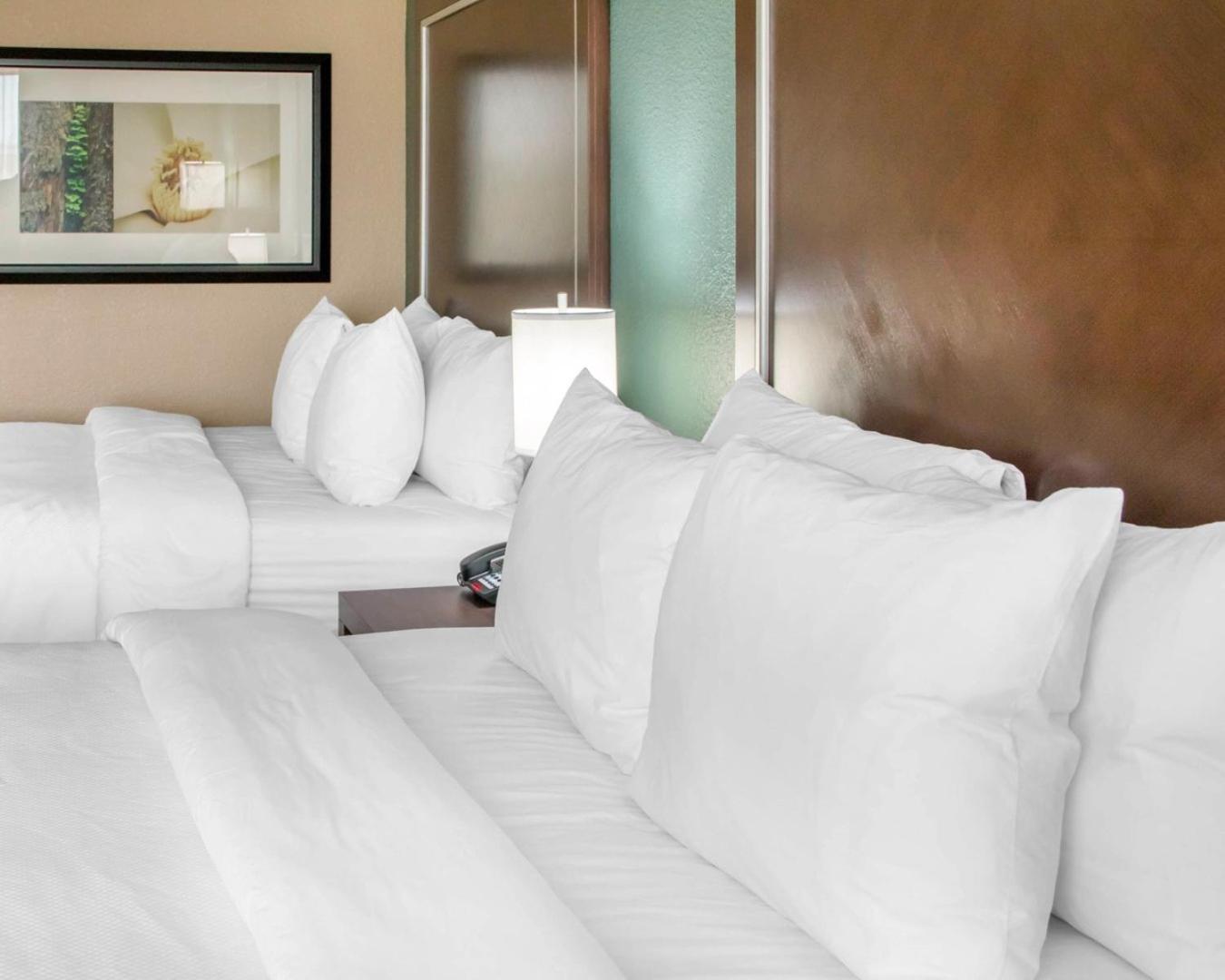Comfort Inn & Suites San Marcos near Outlet Mall, Foto 29