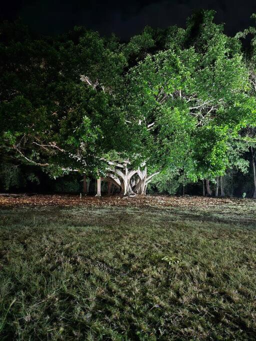 Casa Brisa Girardot - Hermosa Casa Rodeada de Naturaleza