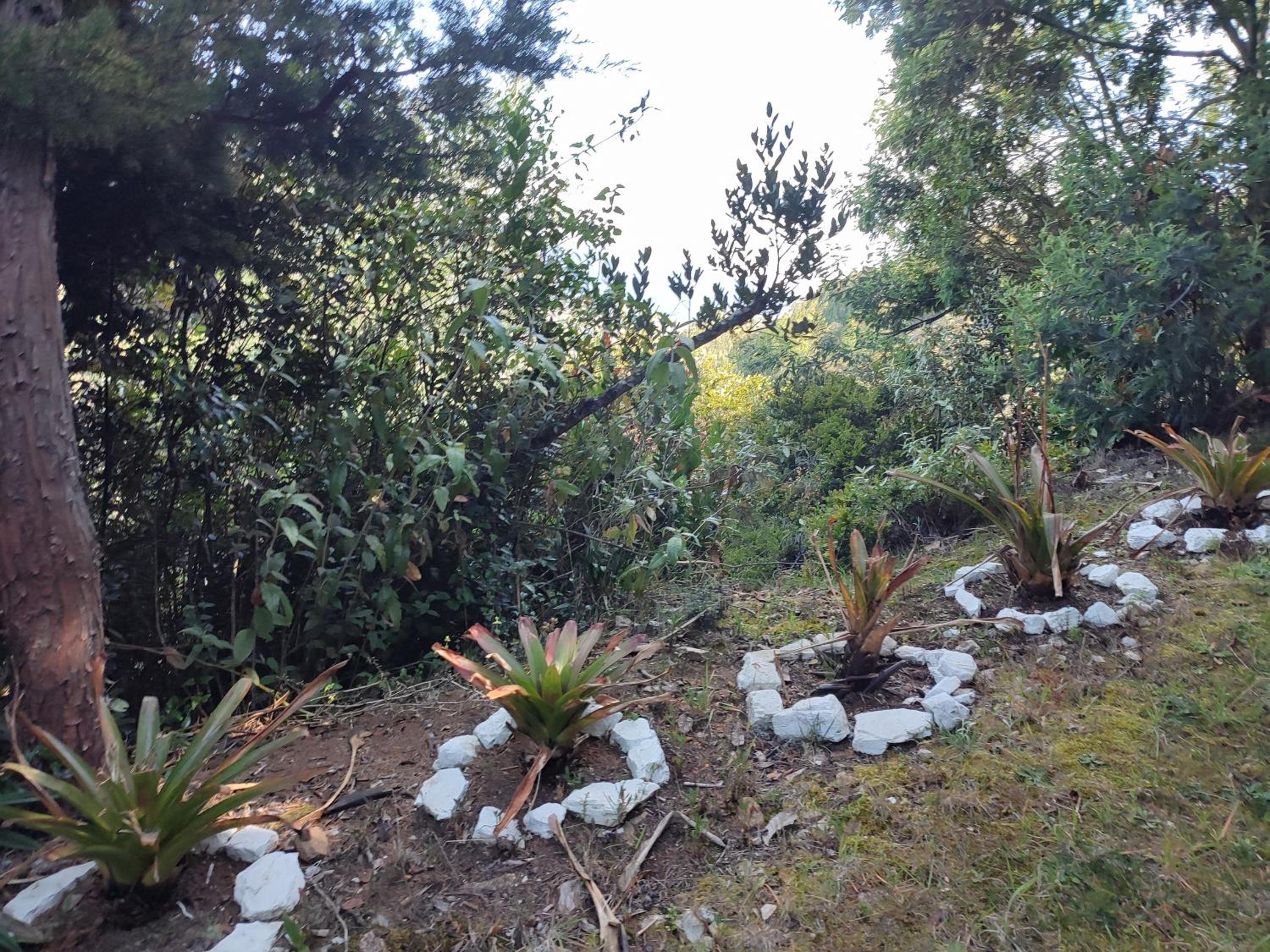 Blumonte Guatavita